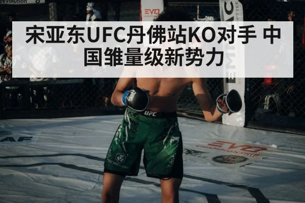 UFC octagon fight